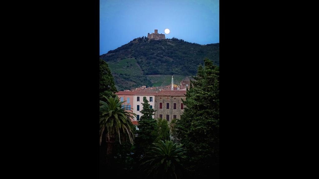 Les Jasmins Apartment Collioure Exterior photo